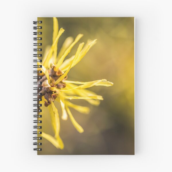 Item preview, hemamelis - hamamelis - flor designed and sold by OE993.