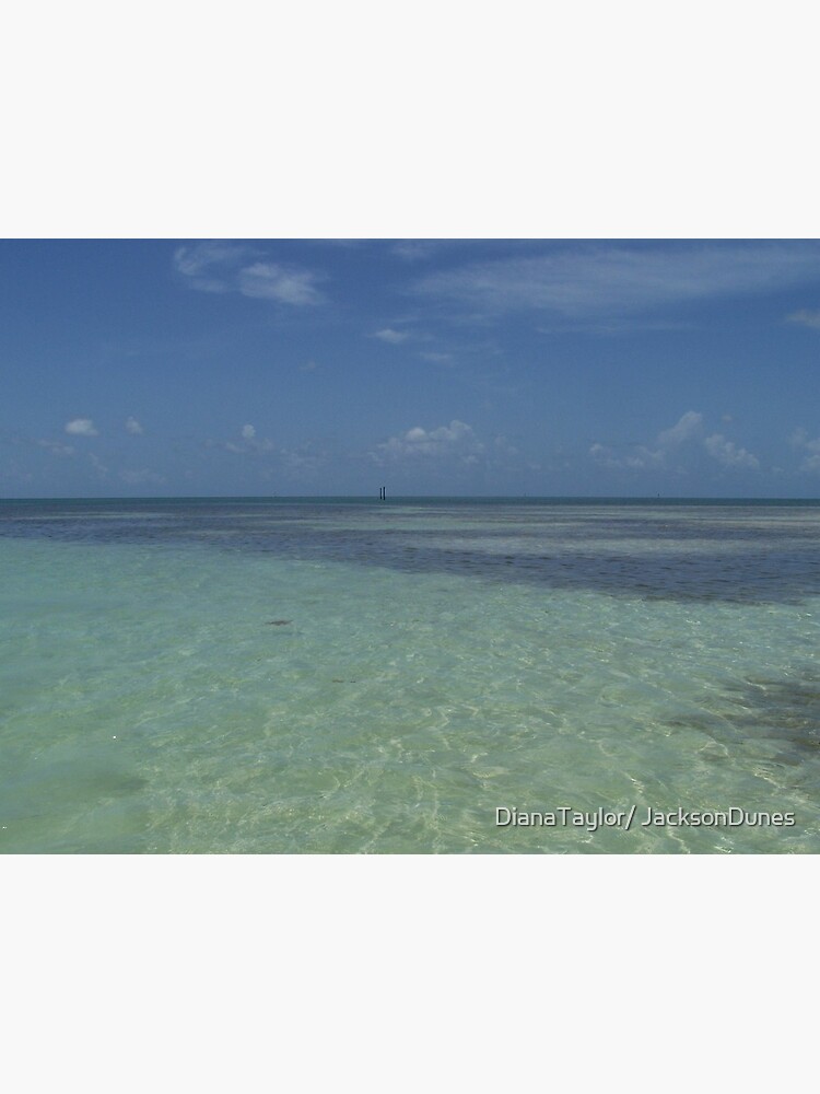 Blue In Key West by DianaTaylor