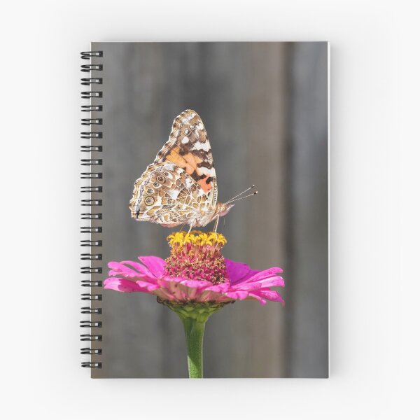 Item preview, Painted Lady 2018-2 designed and sold by Thomasyoung.