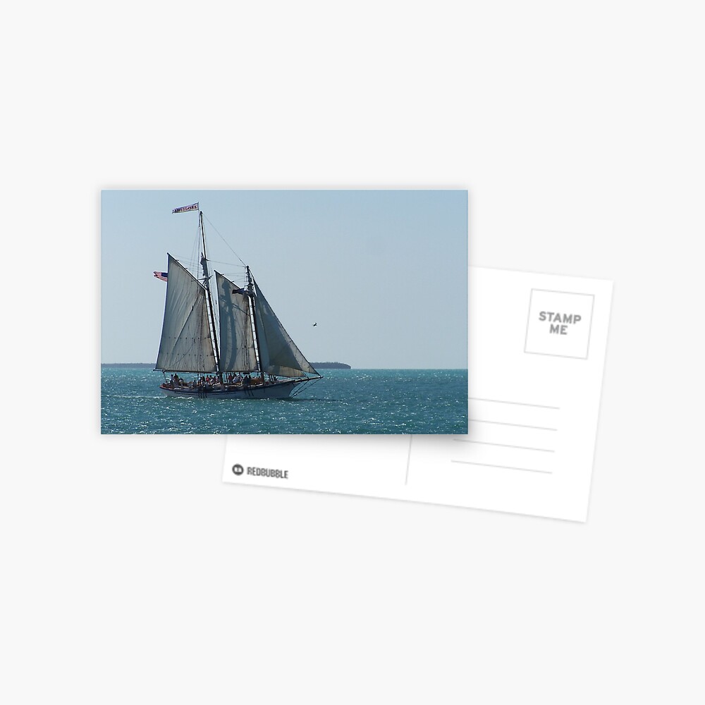 Key West Sailboat (Southern Cross) Postcard
