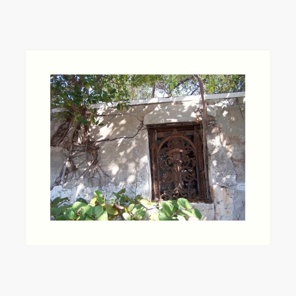 Key West Window Art Print