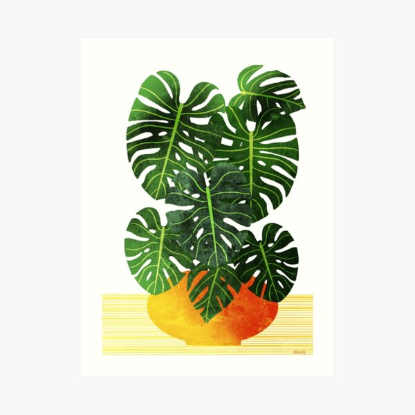 Monsters Swiss Cheese Plant In Mid Century Pot Art Print