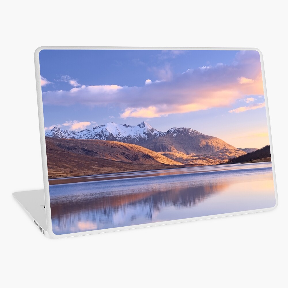 Item preview, Laptop Skin designed and sold by ShinyPhoto.
