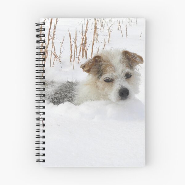 Item preview, nOW hOW aM i sUPpOSED tO dO My JOb iN tHIS???? designed and sold by NatureGreeting Cards ©ccwri.