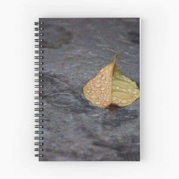 Item preview, Rainy Autumn Day designed and sold by Gilda Axelrod.
