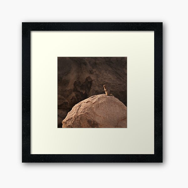 Our Spiritual Leader Framed Art Print