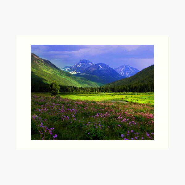 Christmas Meadows Art Print