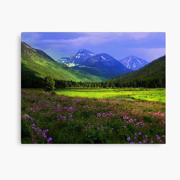 Christmas Meadows Canvas Print