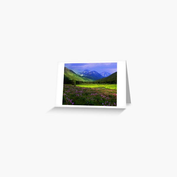 Christmas Meadows Greeting Card