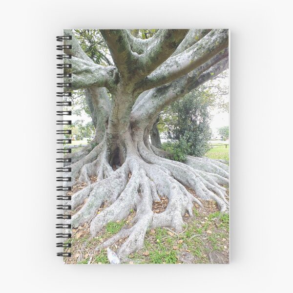 Item preview, Tree roots, Parakai, New Zealand designed and sold by sandysartstudio.