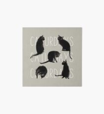 Caturdays - Black Cat Art Board