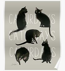Caturdays - Black Cat Poster