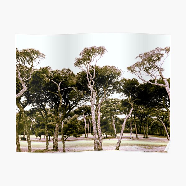 South of France SF119 Poster