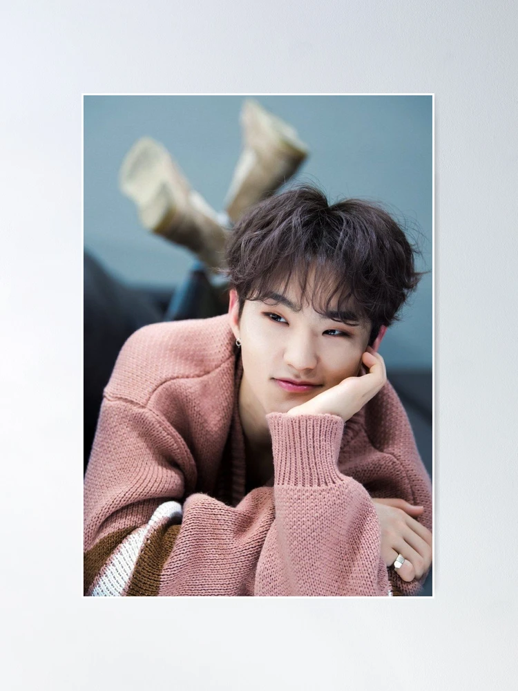 【hoshi⭐︎】 fposter,medium,wall_texture,