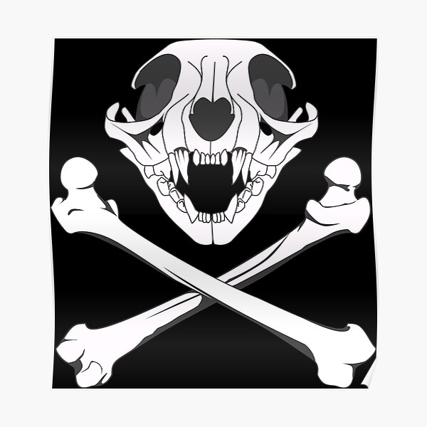 Cat Skull And Crossbones Posters | Redbubble