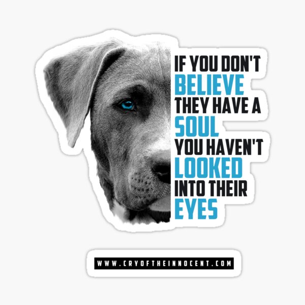 Animals Have A Soul Sticker