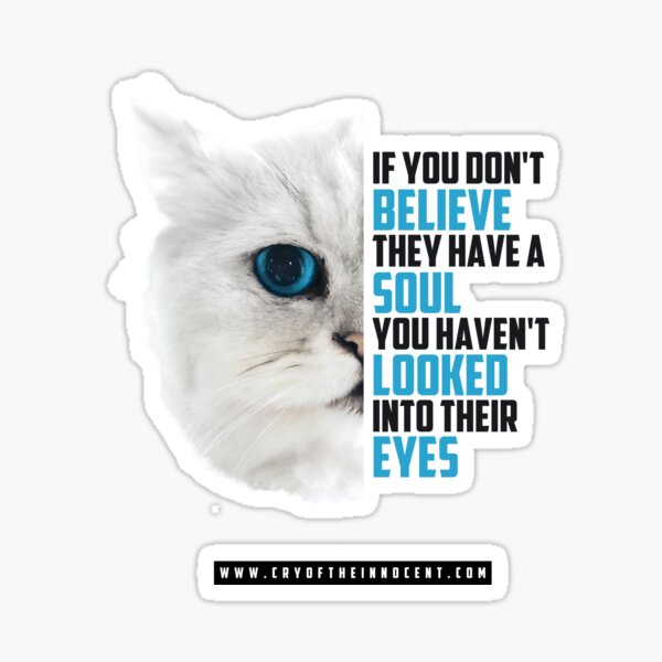 Animals Have A Soul Sticker