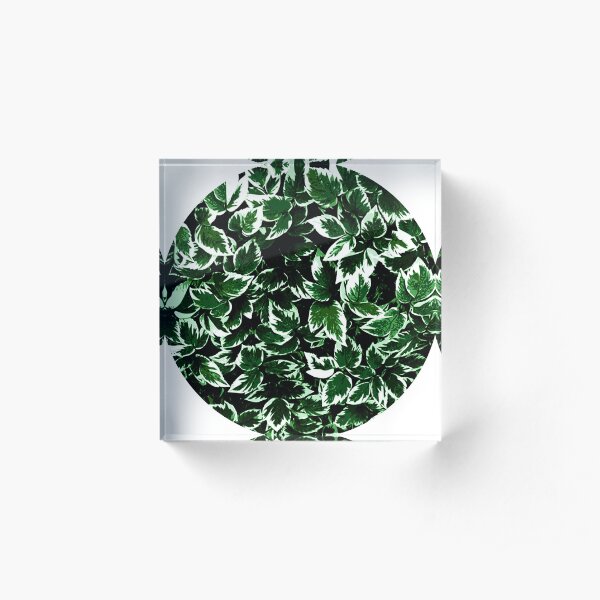 Bishops Weed Circle Acrylic Block