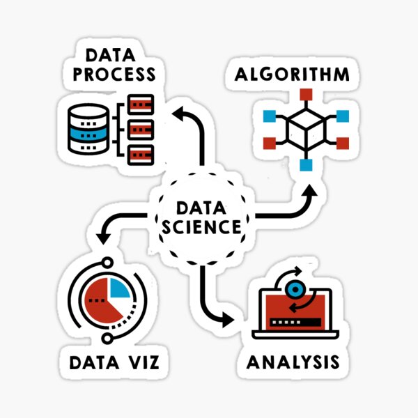 Data Science Designs Sticker