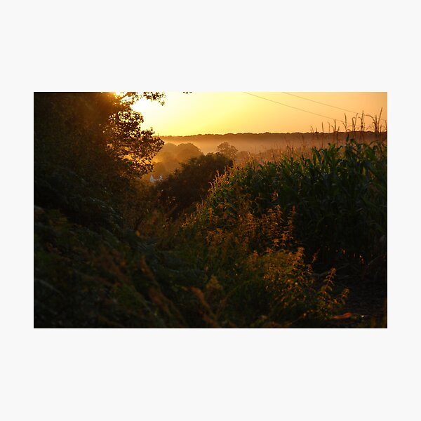Sunset in Cold Ash - Berkshire Photographic Print