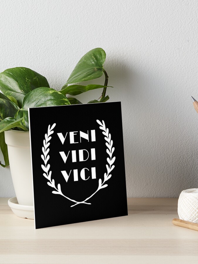 Veni Vidi Vici – Bog Road Designs