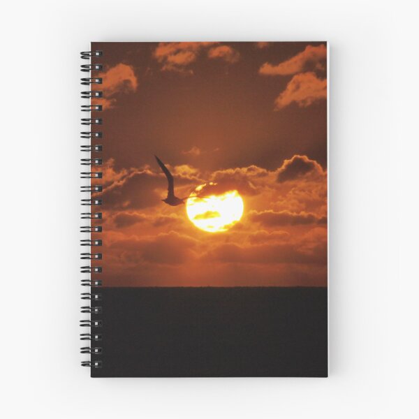 Item preview, Soaring over Cape Cod, New England USA designed and sold by AnnDixon.