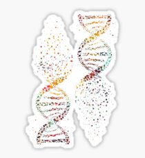 DNA Artwork Sticker