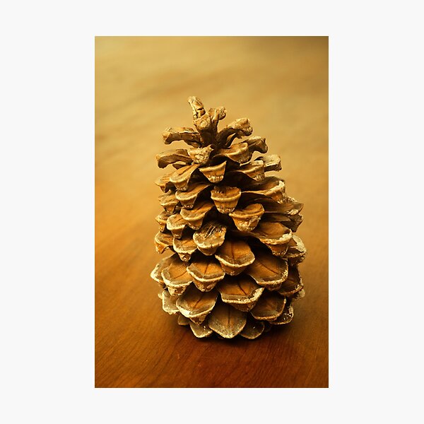 Item preview, Pine Cone designed and sold by Geraldine Holly.