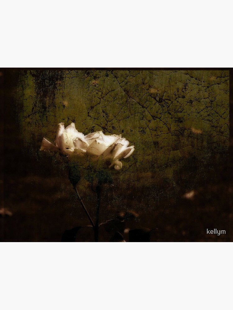Timeless by kellym