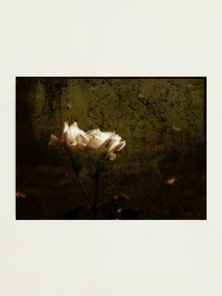Alternate view of Timeless Photographic Print