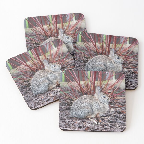 Item preview, Bunny 5 designed and sold by Susie Kramer.
