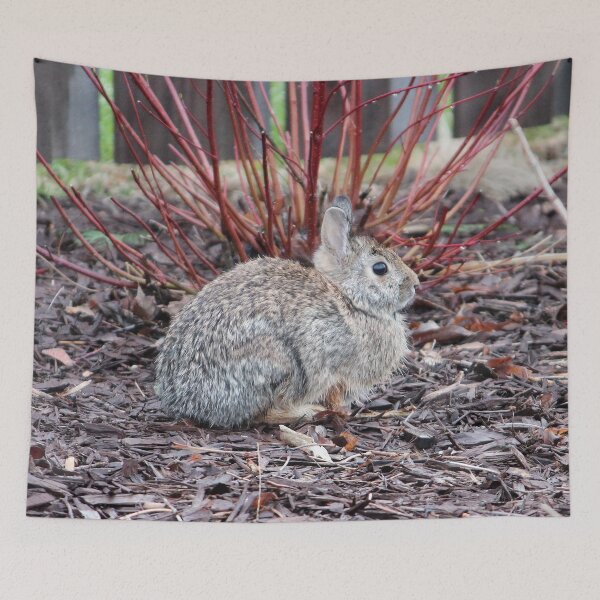 Item preview, Bunny 5 designed and sold by Susie Kramer.
