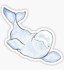 Whale Sticker