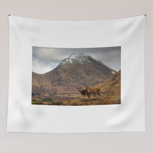 Item preview, Glen Etive, Scotland. designed and sold by AlbaPhotography.
