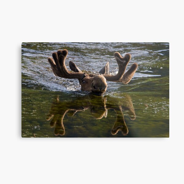 Panic! Metal Print