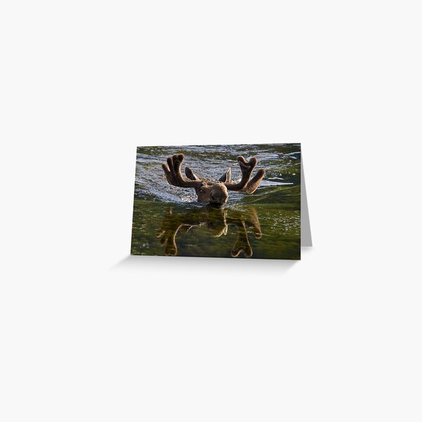 Panic! Greeting Card