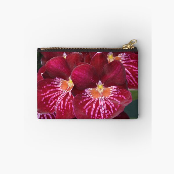 Item preview, Miltonia Miltoniopsis Orchid designed and sold by Schoensl.