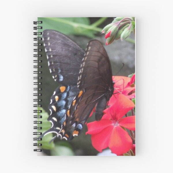 Item preview, MARIPOSA EN LA FLOR. designed and sold by WINTERROSE.