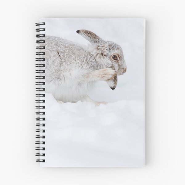 Item preview, The winter servivor designed and sold by chanonry.