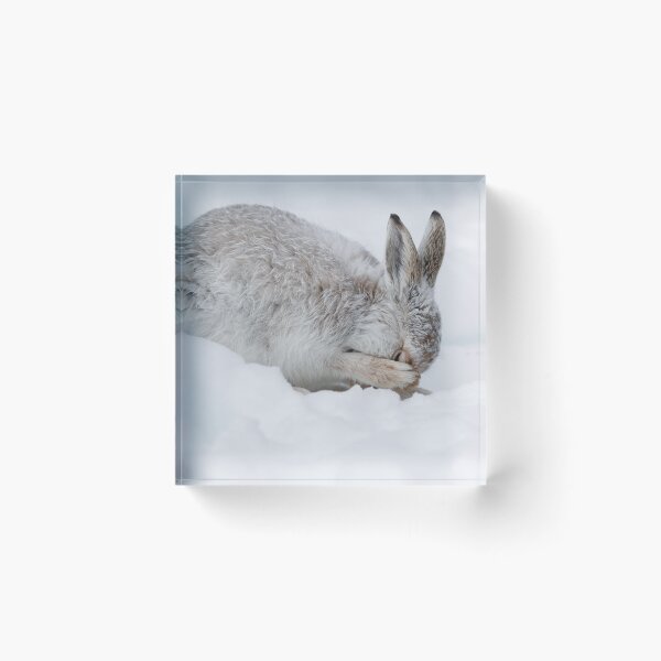 Item preview, The winter servivor designed and sold by chanonry.