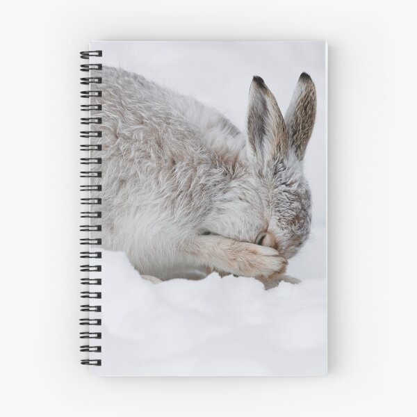 Item preview, The winter servivor designed and sold by chanonry.