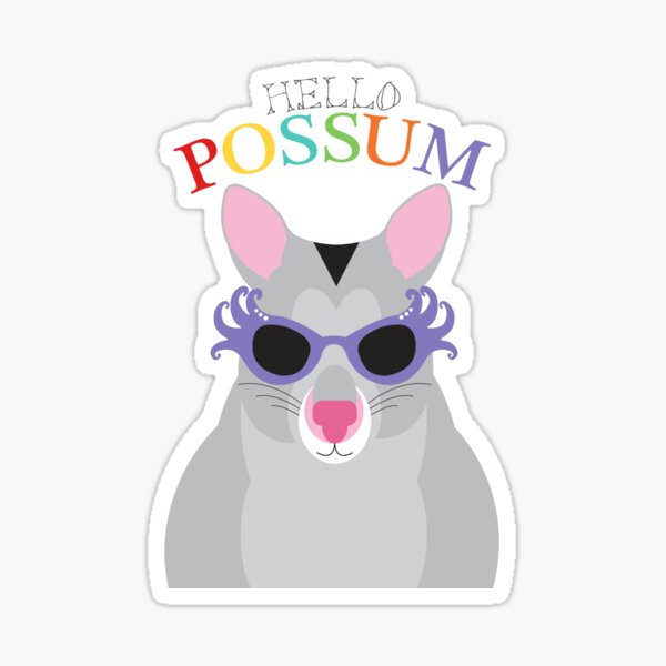 Hello possum Sticker