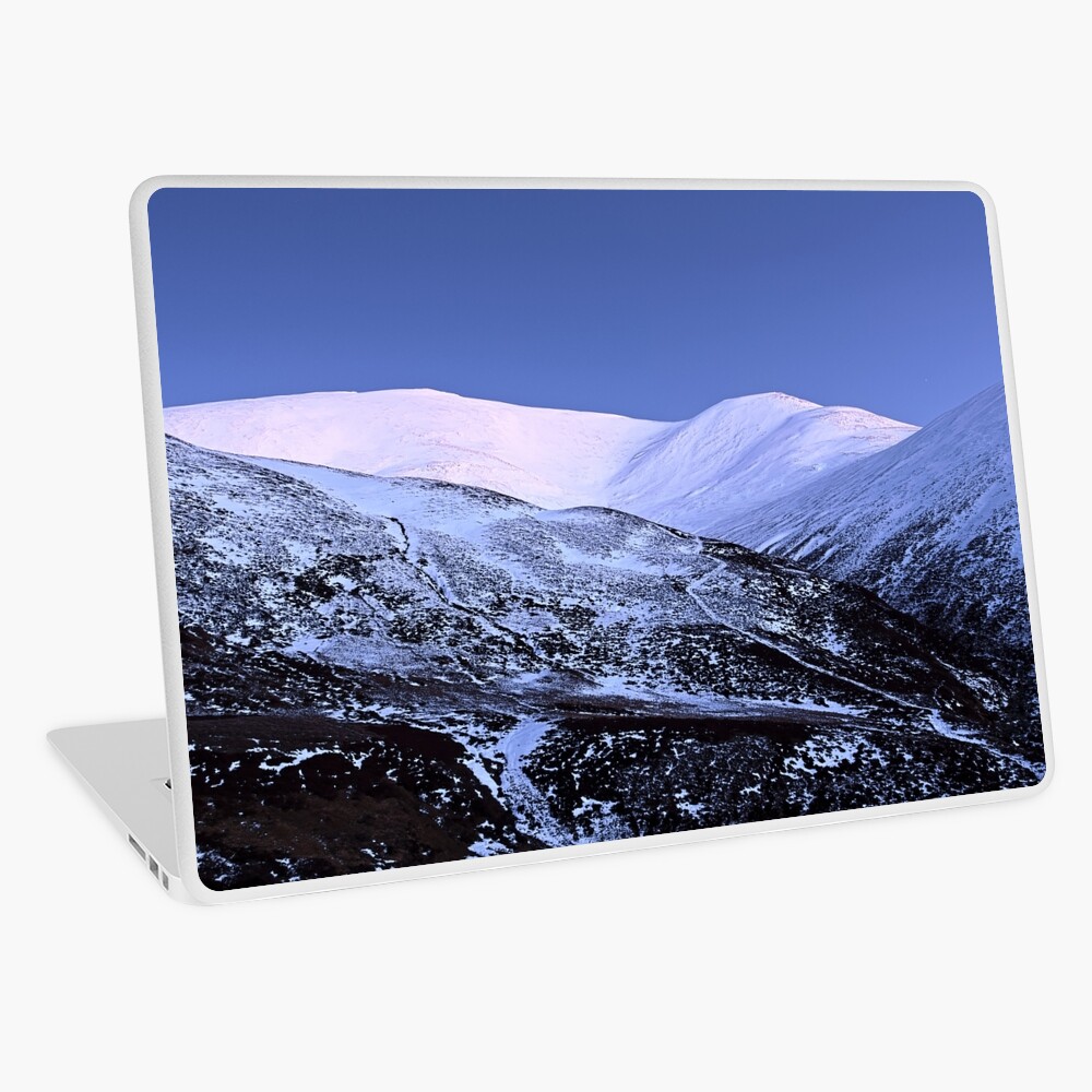 Item preview, Laptop Skin designed and sold by ShinyPhoto.