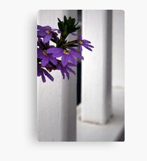 Peek! Canvas Print