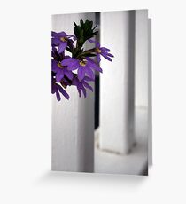 Peek! Greeting Card