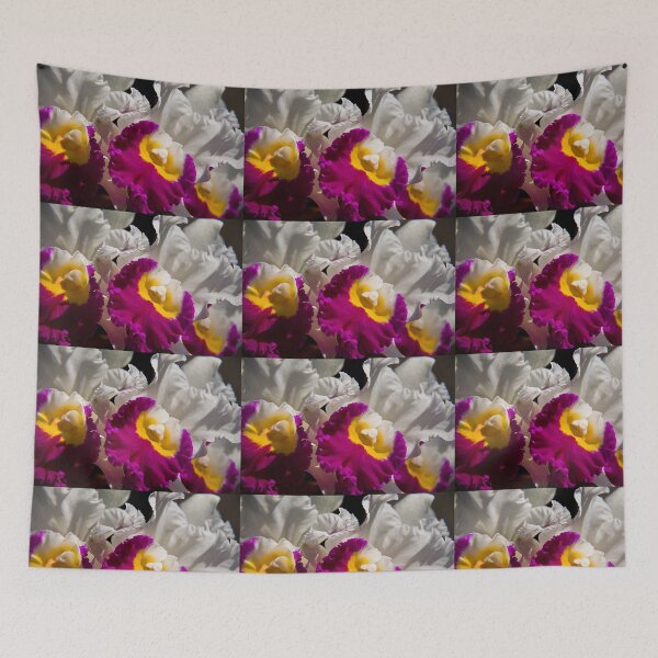 Item preview, USA. Pennsylvania. Longwood Gardens. Orchids. designed and sold by vadim19.