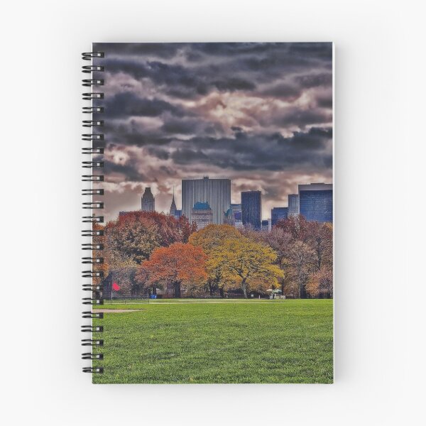 Item preview, USA. New York. Central Park. designed and sold by vadim19.