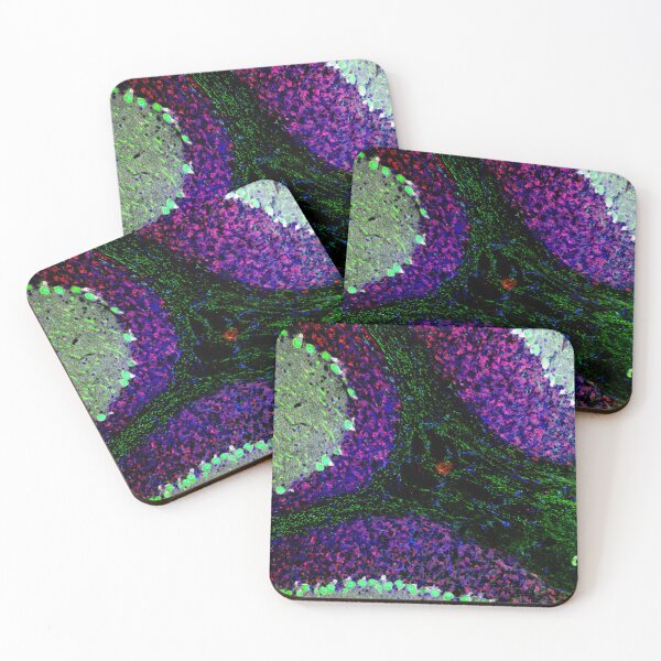Item preview, Fluorescent Brain Histology designed and sold by deltoid.
