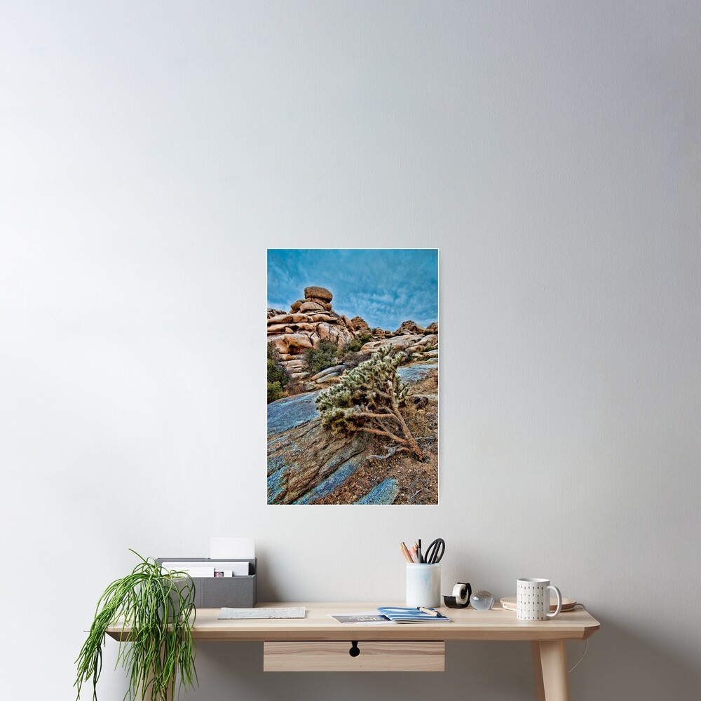 Joshua Tree on the Rocks Poster