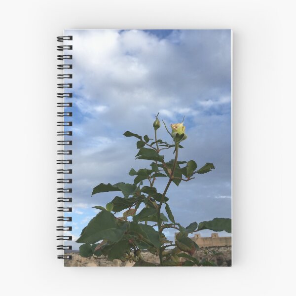 Item preview, Roses in abandoned city designed and sold by GradyRule.